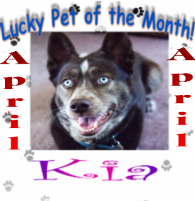 Lucky Pet of the Month